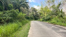 Land for sale in Thung Maphrao, Phang Nga