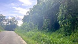 Land for sale in Thung Maphrao, Phang Nga