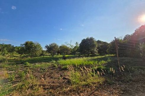 Land for sale in Sai Mun, Nakhon Nayok