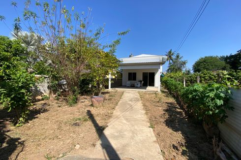 3 Bedroom House for rent in Pa Daet, Chiang Mai