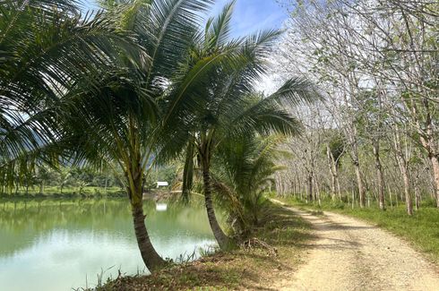 Land for sale in Bang Thong, Phang Nga