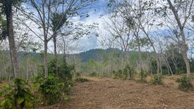 Land for sale in Bang Thong, Phang Nga