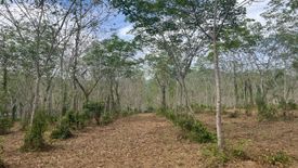 Land for sale in Bang Thong, Phang Nga