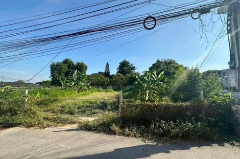 Land for sale in Nong Prue, Chonburi