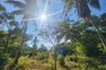 Land for sale in Sam Roi Yot, Prachuap Khiri Khan