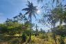 Land for sale in Sam Roi Yot, Prachuap Khiri Khan