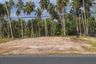 Land for sale in Khanom, Nakhon Si Thammarat