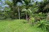 Land for sale in Nong Thale, Krabi