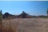 Land for sale in Ban Chang, Suphan Buri