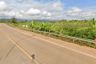 Land for sale in Nang Lae, Chiang Rai