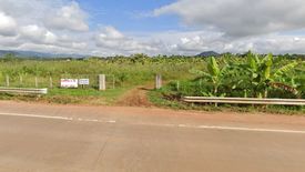 Land for sale in Nang Lae, Chiang Rai
