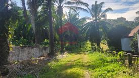 Land for sale in Ao Nang, Krabi