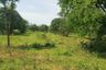 Land for sale in Ang Hin, Ratchaburi