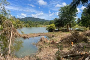 Land for sale in Bang Muang, Phang Nga