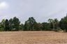 Land for sale in Nong Pla Lai, Chonburi