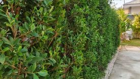 3 Bedroom House for sale in Huai Yai, Chonburi