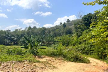 Land for sale in Tha Yu, Phang Nga