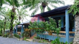 21 Bedroom Hotel / Resort for sale in Ao Nang, Krabi