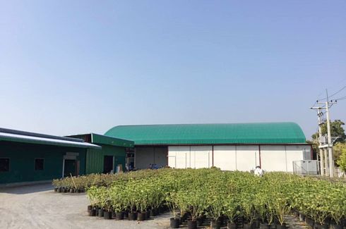 Land for sale in Ban Hong, Lamphun