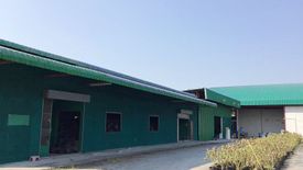 Land for sale in Ban Hong, Lamphun