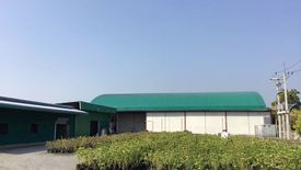 Land for sale in Ban Hong, Lamphun