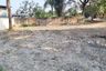 Land for Sale or Rent in San Pu Loei, Chiang Mai