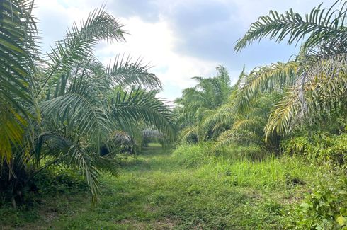 Land for sale in Thung Maphrao, Phang Nga