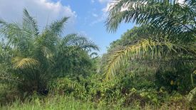 Land for sale in Thung Maphrao, Phang Nga