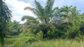 Land for sale in Thung Maphrao, Phang Nga
