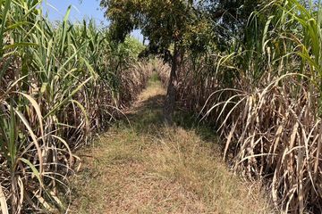 Land for sale in Ban Khong, Suphan Buri