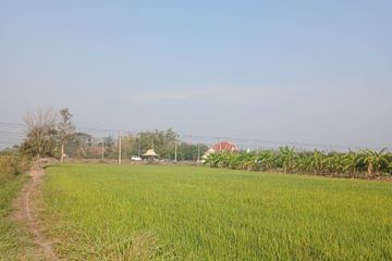 Land for sale in Bang Phueng, Lopburi
