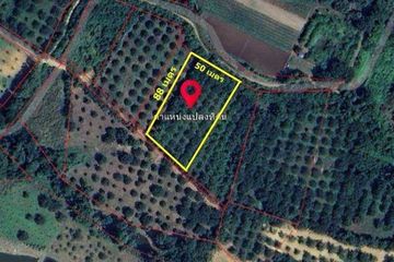 Land for sale in Pak Chong, Phetchabun