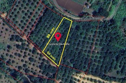 Land for sale in Pak Chong, Phetchabun