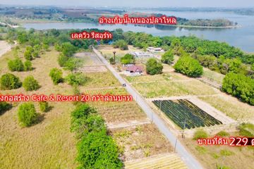 Land for sale in Maenam Khu, Rayong
