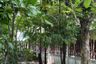9 Bedroom House for sale in World Club Land, Nong Khwai, Chiang Mai