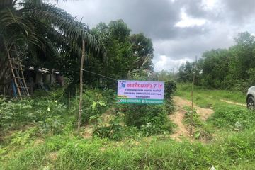 Land for sale in Bang Muang, Phang Nga