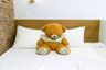 8 Bedroom Hotel / Resort for sale in Phra Sing, Chiang Mai