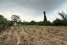 Land for sale in Bang Phra, Chonburi