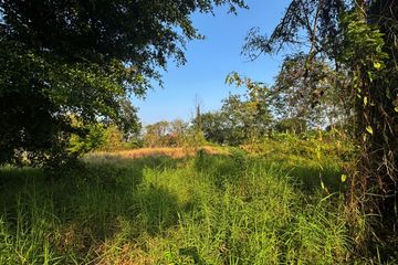 Land for sale in Mae Raem, Chiang Mai