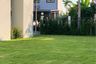 4 Bedroom House for rent in San Sai Luang, Chiang Mai