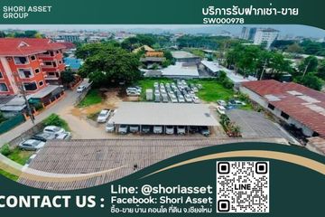 Land for sale in Pa Daet, Chiang Mai