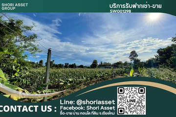 Land for sale in Mae Faek Mai, Chiang Mai