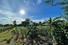 Land for sale in Mae Faek Mai, Chiang Mai