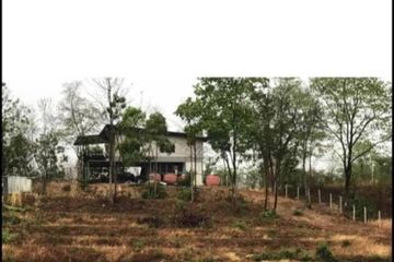 Land for sale in Lom Sak, Phetchabun