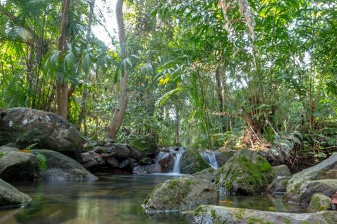 Land for sale in Nong Thale, Krabi