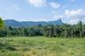 Land for sale in Nong Thale, Krabi