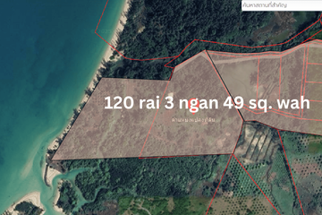 Land for sale in Bang Muang, Phang Nga