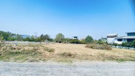 Land for sale in Pak Chong, Nakhon Ratchasima