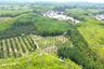 Land for sale in Khok Kloi, Phang Nga