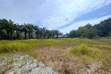 Land for sale in Bang Thong, Phang Nga